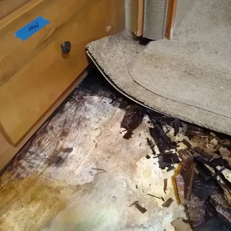 Wood Floor Water Damage in Price County, WI